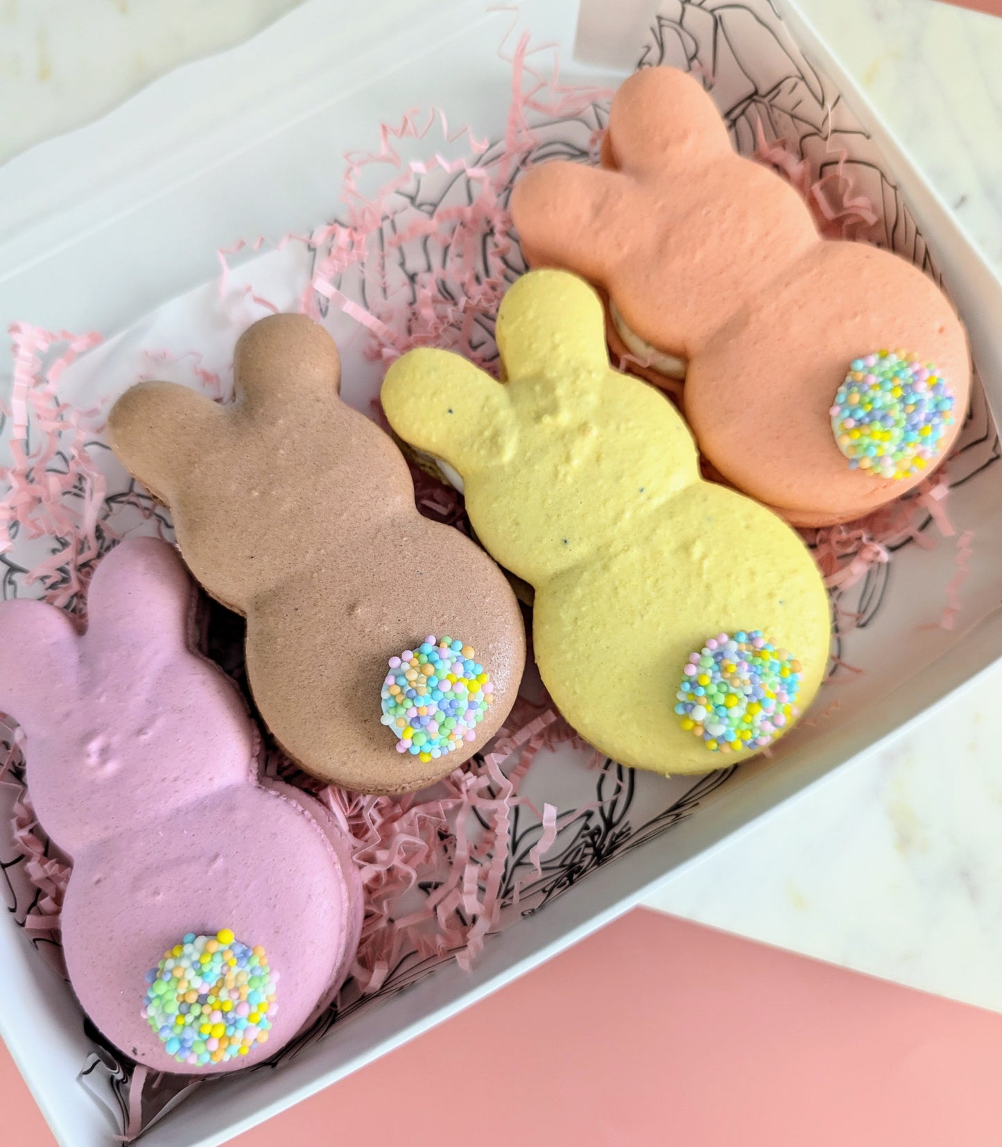 Easter Bunny Macaron Set