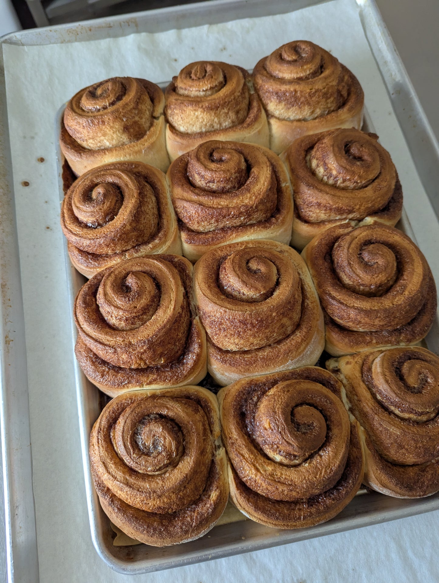 Cinnamon Rolls